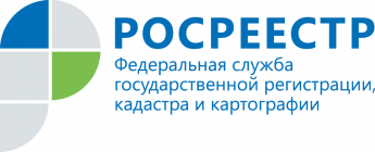 Как получить копии документов из реестра недвижимости